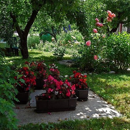 La Vecchia Casa Hotel Cetinje Exterior photo