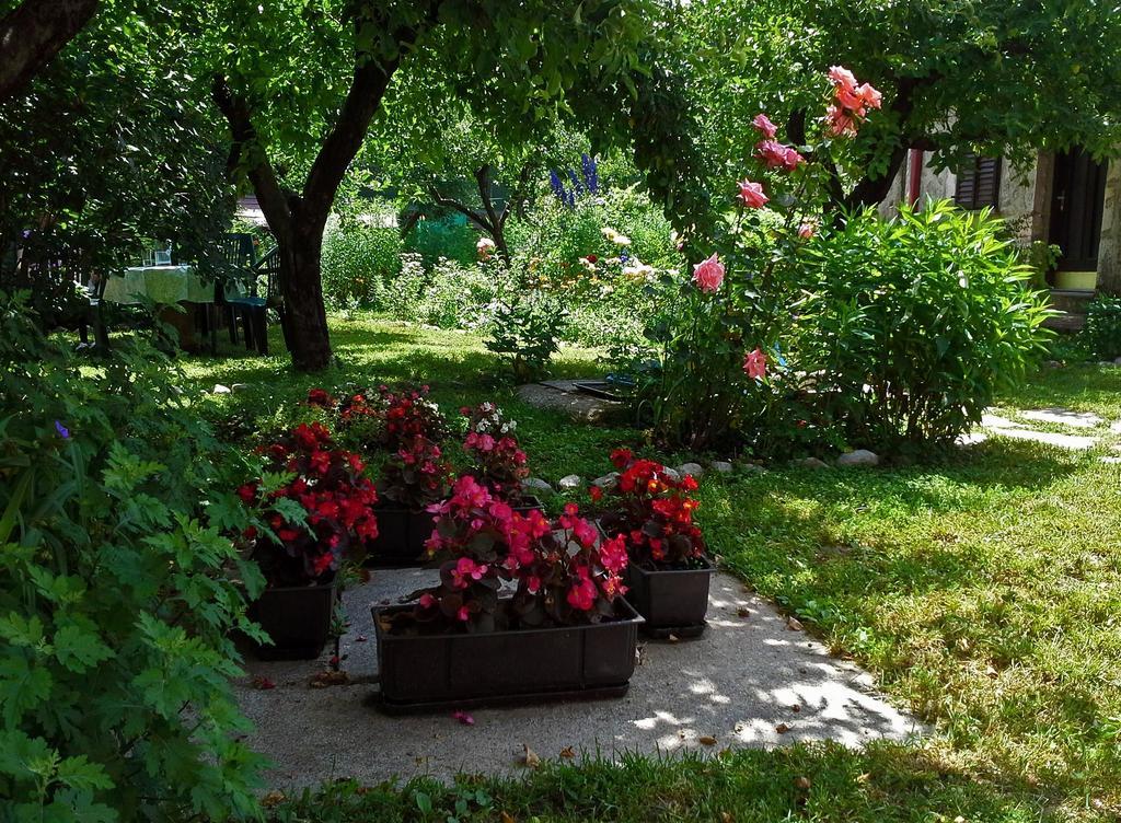 La Vecchia Casa Hotel Cetinje Exterior photo