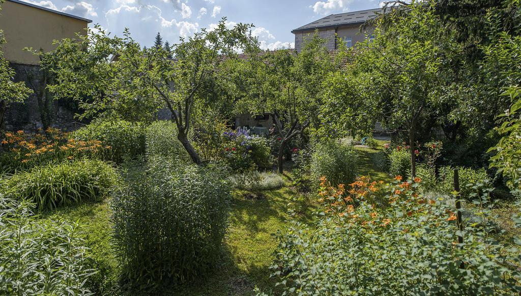 La Vecchia Casa Hotel Cetinje Exterior photo